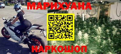 крисы Будённовск