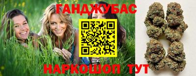 крисы Будённовск