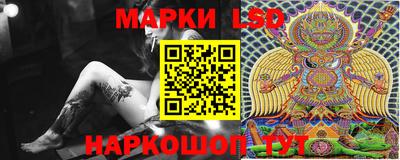 крисы Будённовск